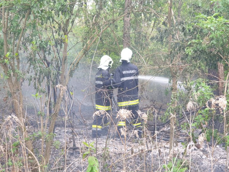 Požar otvorenog prostora (7) – dojavnica 351