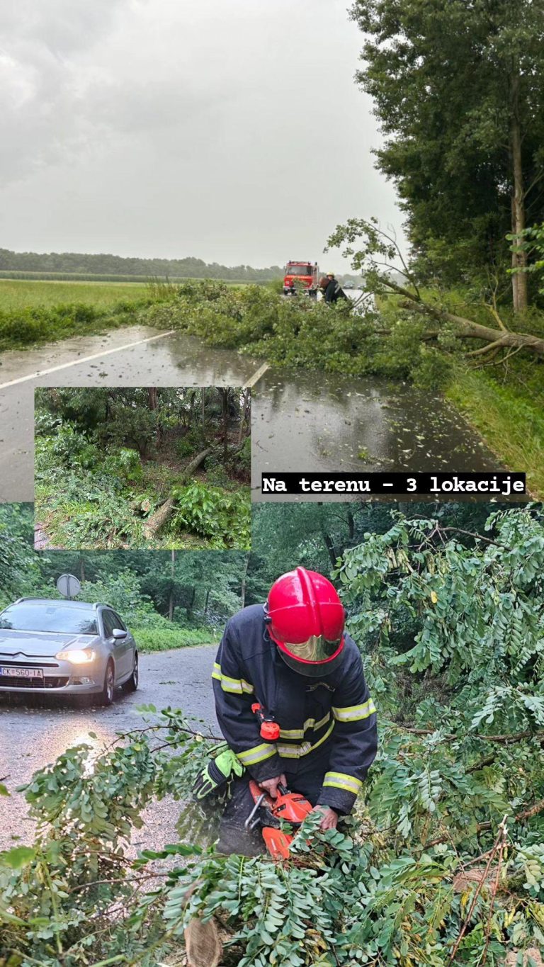 Uklanjanje stabala s prometnica (12/2023)
