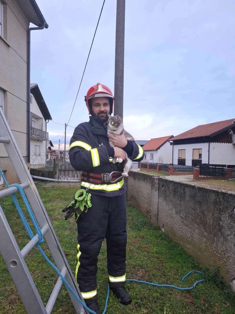 Skidanje mačke s krova (1/2025)